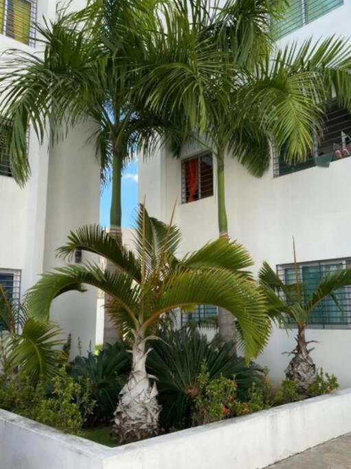 Comodas 3 Hab Con Piscina, Wifi 1Er Nivel Santiago De Los Caballeros Exteriér fotografie